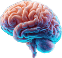 My Brain logo